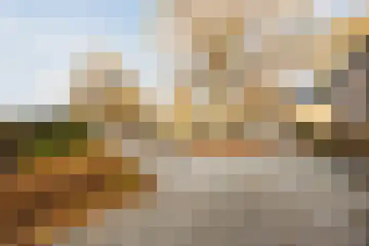 Bosveld 424 Uden thumbnail 4