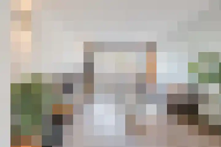Bosveld 424 Uden thumbnail 5