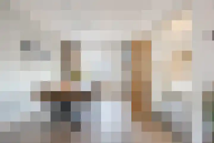 Bosveld 424 Uden thumbnail 7