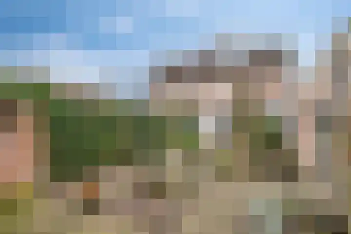 Bosveld 514 Uden thumbnail 37