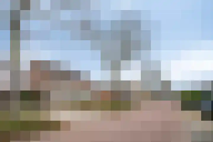 Bosveld 514 Uden thumbnail 42
