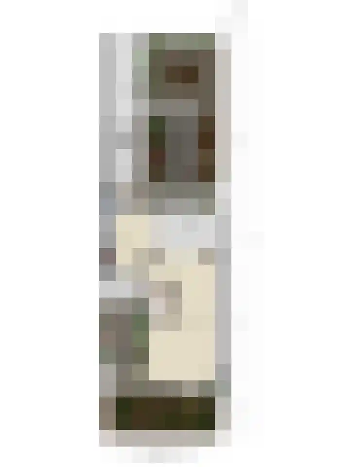 Bosveld 514 Uden thumbnail 46