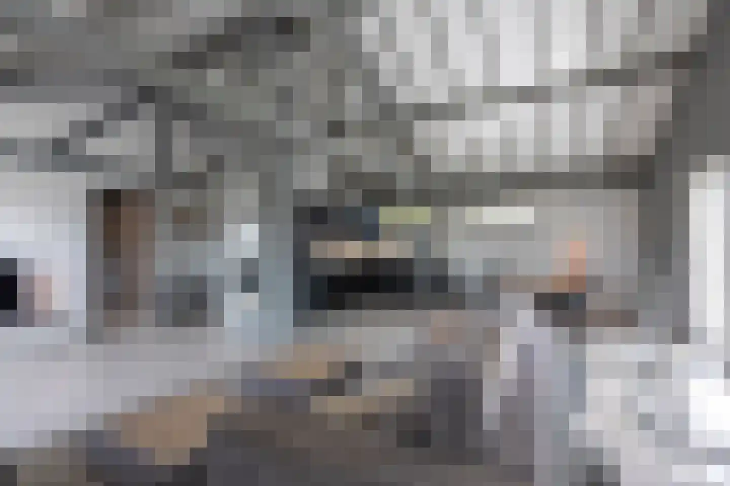Bosveldstraat 55 Kerkrade thumbnail 17