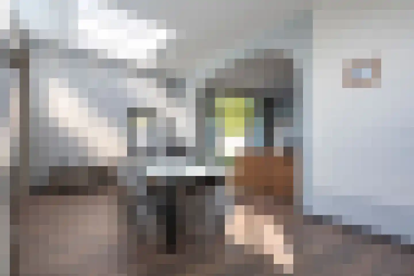 Bosveldstraat 55 Kerkrade thumbnail 7