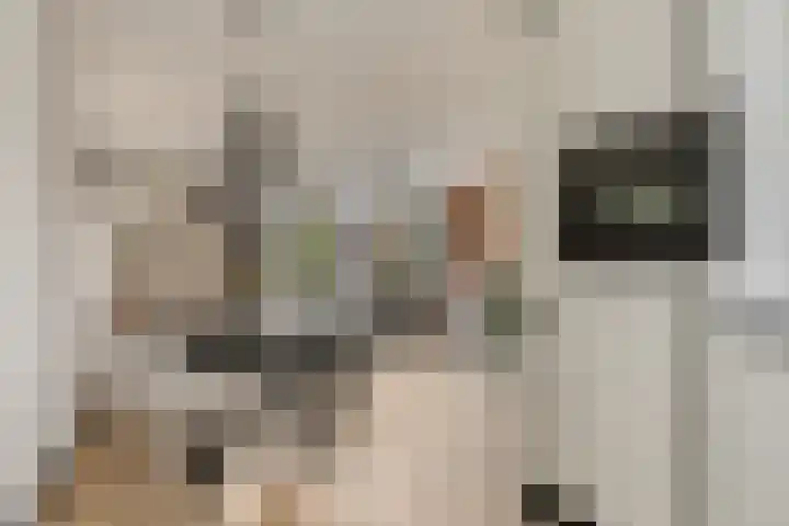 Bosven 201 Veghel thumbnail 6