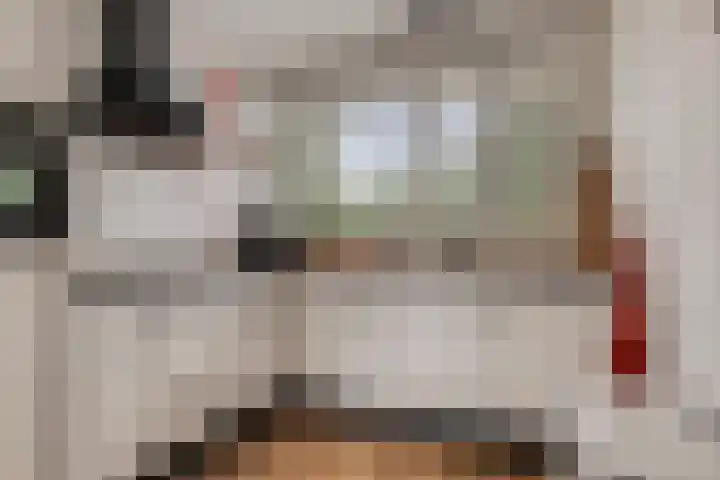 Bosven 201 Veghel thumbnail 7