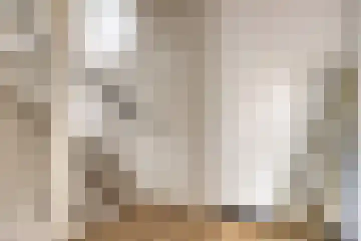 Bosven 201 Veghel thumbnail 9