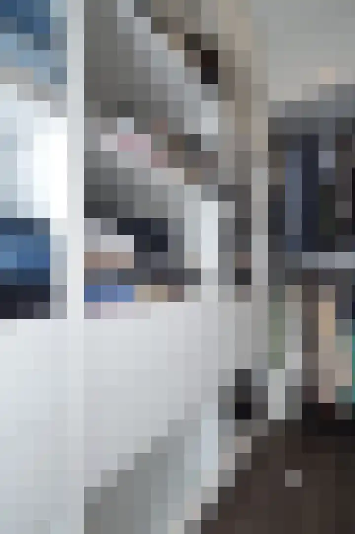 Bosven 40 Deurne thumbnail 14
