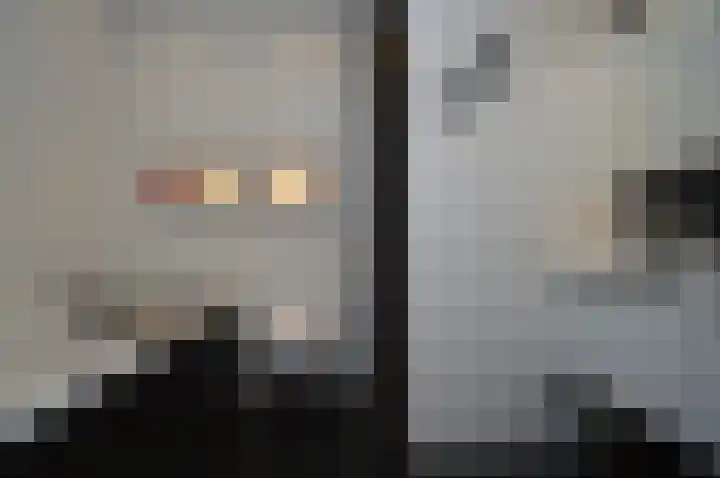 Bosven 40 Deurne thumbnail 18