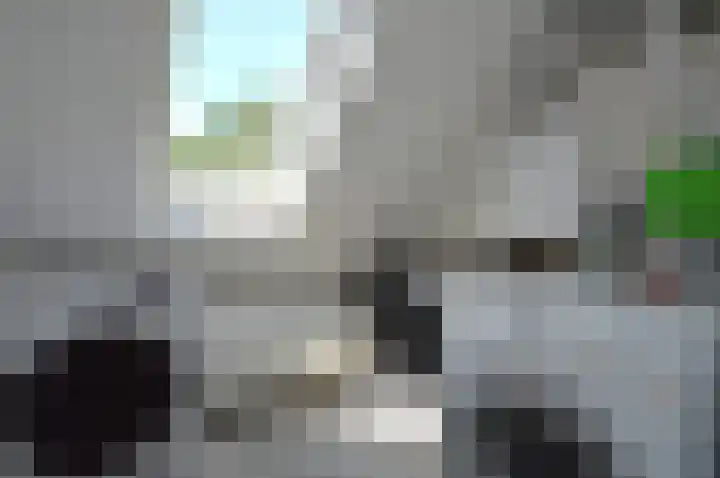 Bosven 40 Deurne thumbnail 24