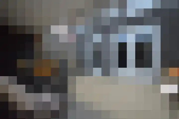 Bosven 40 Deurne thumbnail 26