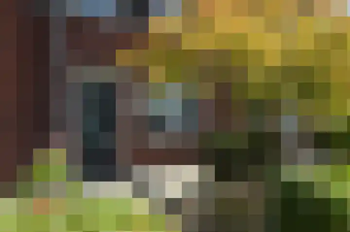 Bosven 40 Deurne thumbnail 28