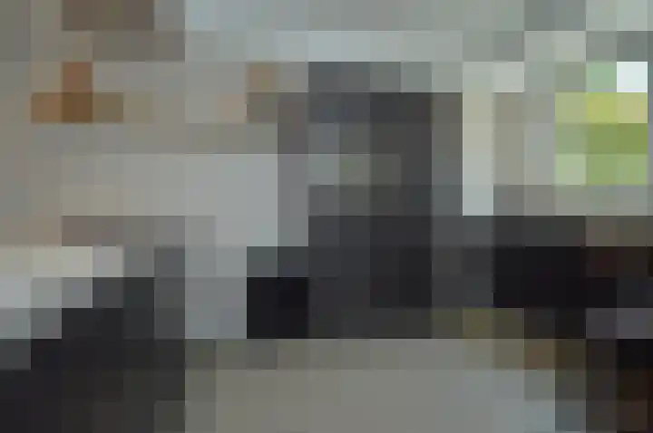 Bosven 40 Deurne thumbnail 5