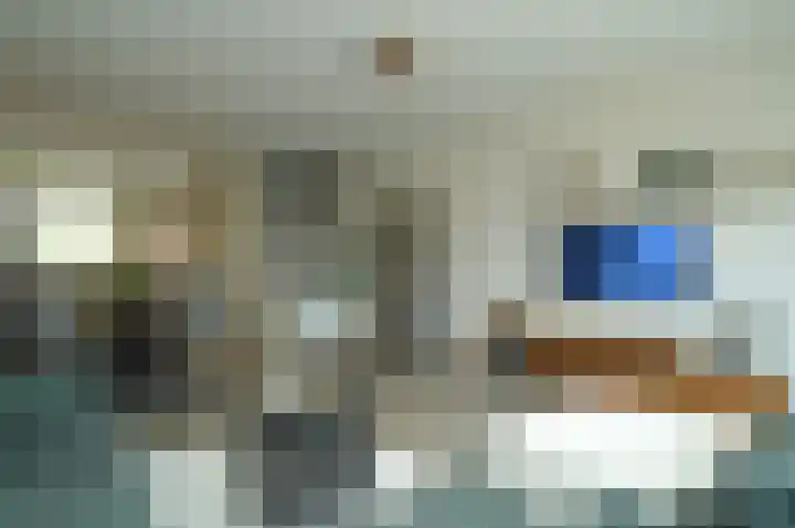 Bosven 40 Deurne thumbnail 7