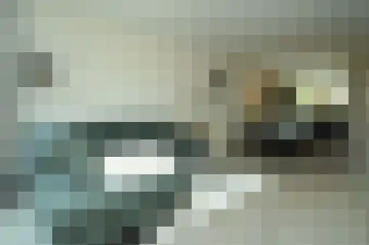 Bosven 40 Deurne thumbnail 8