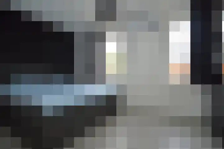 Bosven 74 Deurne thumbnail 12