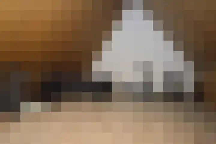 Bosven 74 Deurne thumbnail 18