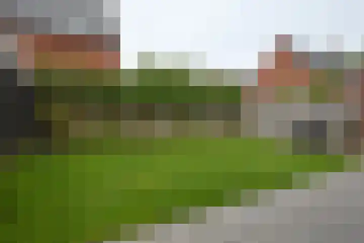 Bosven 74 Deurne thumbnail 21