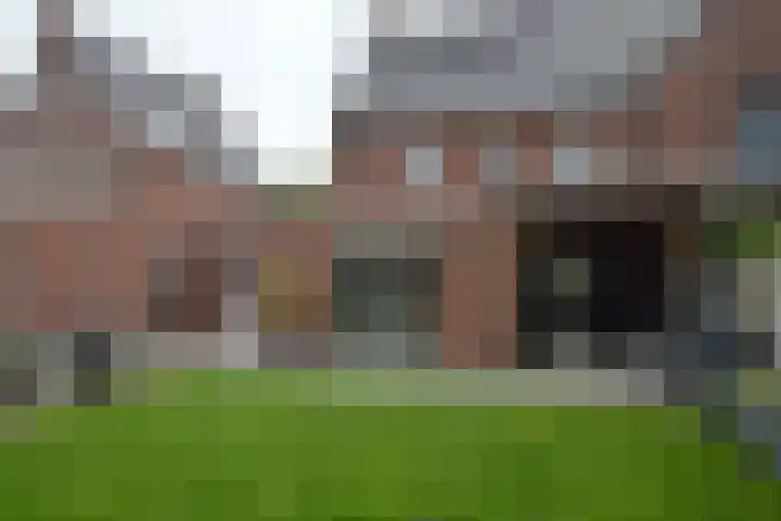 Bosven 74 Deurne thumbnail 23