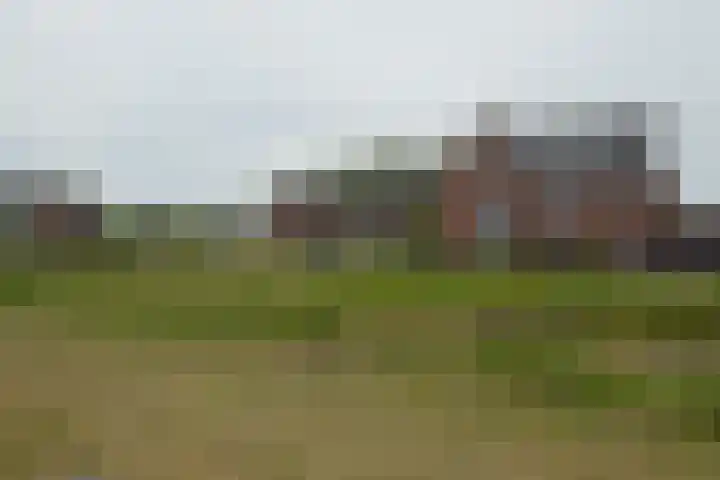 Bosven 74 Deurne thumbnail 27
