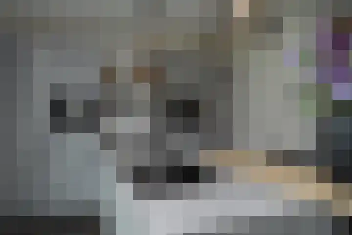 Bosven 74 Deurne thumbnail 9