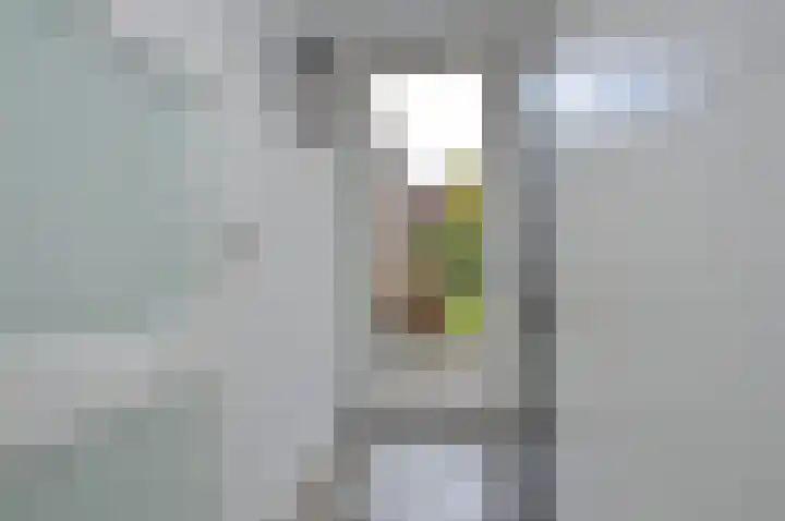 Bosven 92 Deurne thumbnail 11