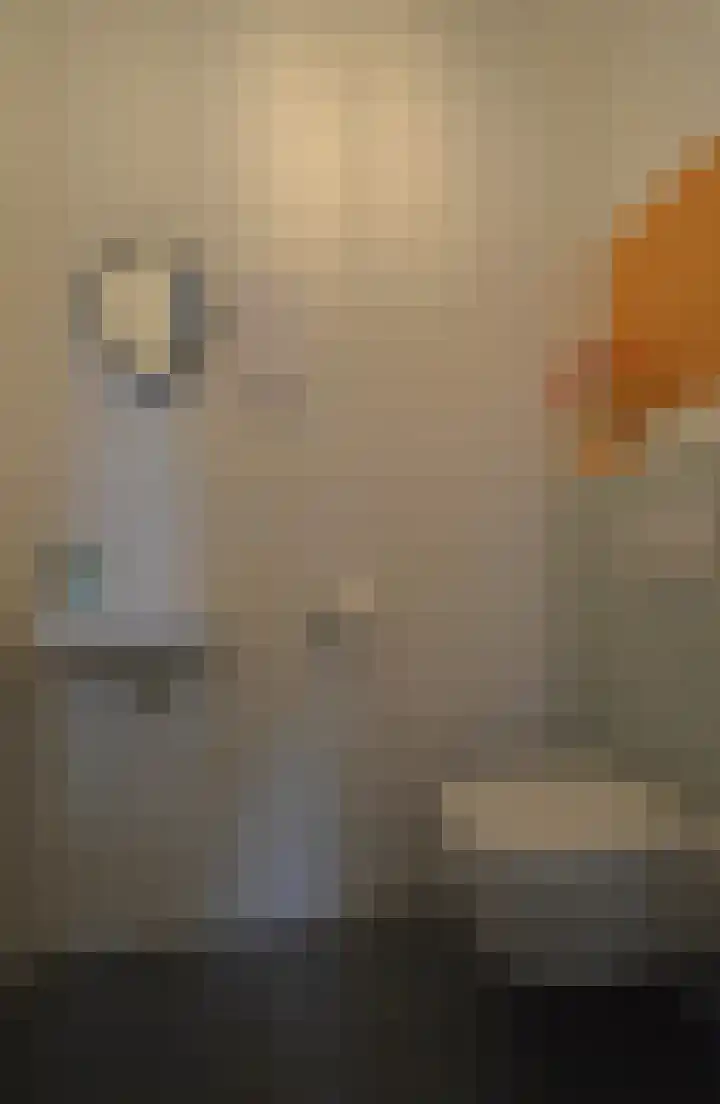 Bosven 92 Deurne thumbnail 12