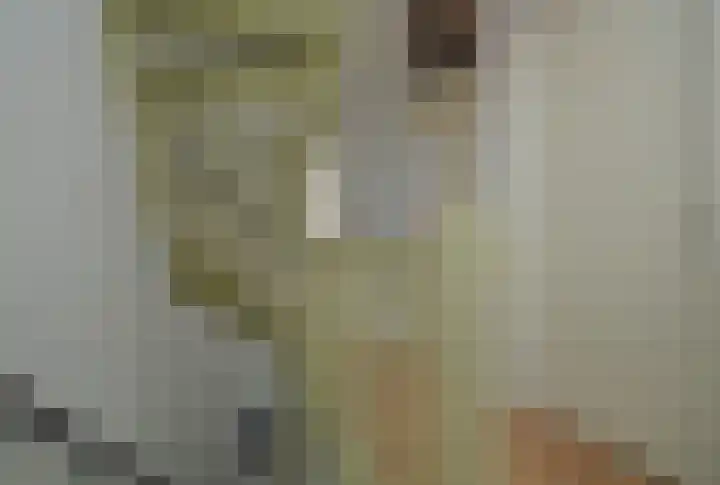 Bosven 92 Deurne thumbnail 13
