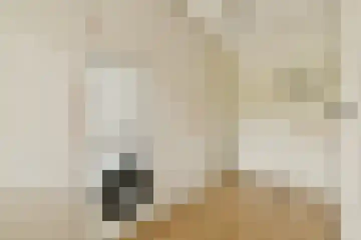 Bosven 92 Deurne thumbnail 16