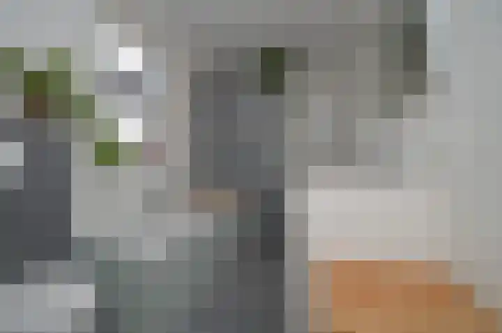 Bosven 92 Deurne thumbnail 16