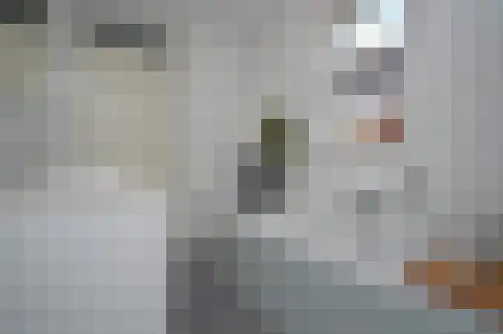 Bosven 92 Deurne thumbnail 18