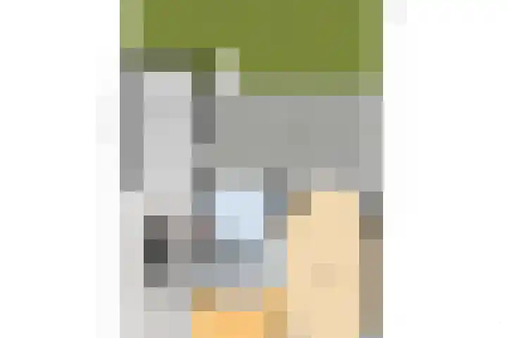 Bosven 92 Deurne foto 2