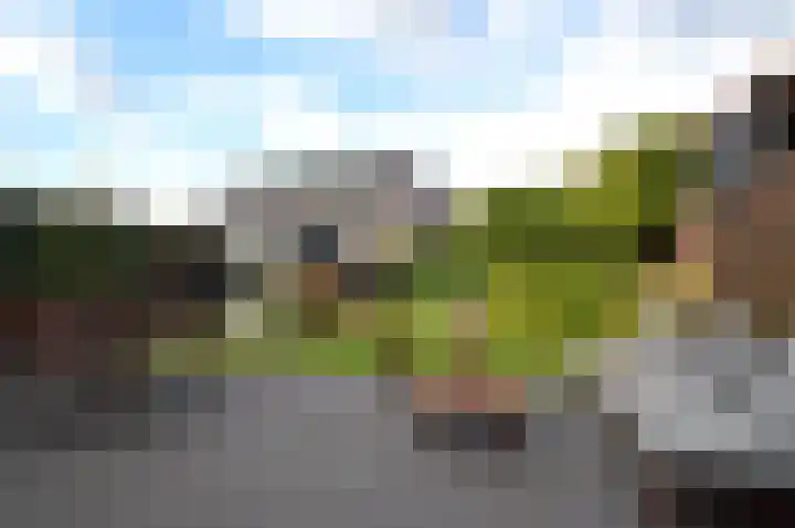 Bosven 92 Deurne thumbnail 22