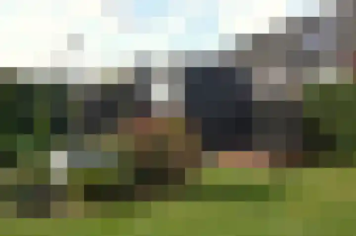 Bosven 92 Deurne thumbnail 24