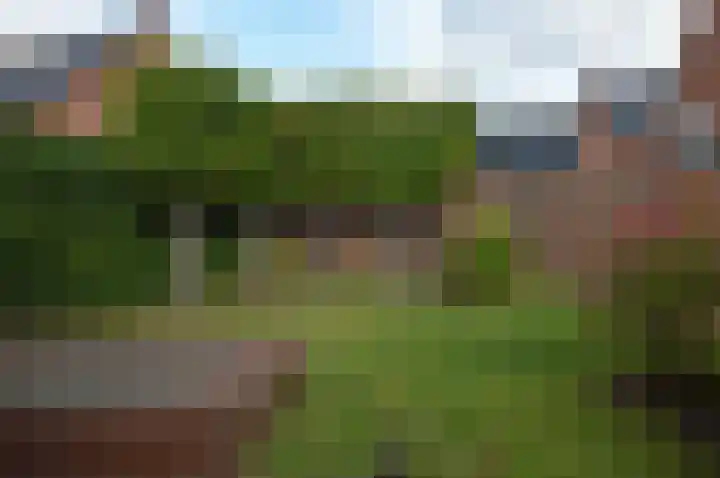 Bosven 92 Deurne thumbnail 25