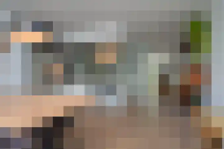 Bosven 92 Deurne thumbnail 4
