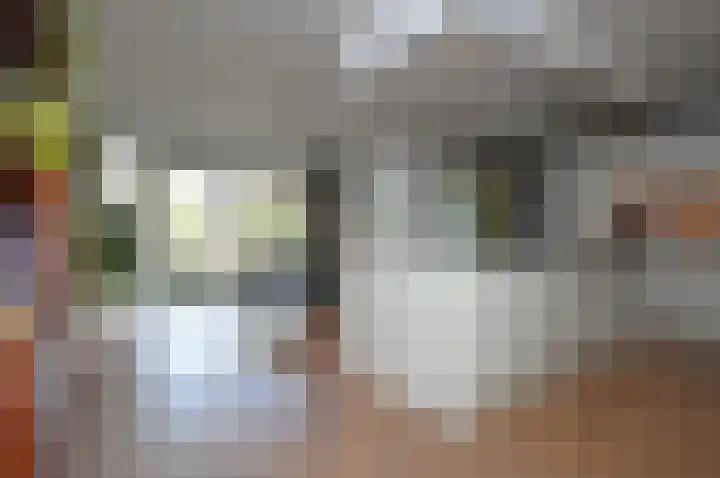 Bosven 92 Deurne thumbnail 5