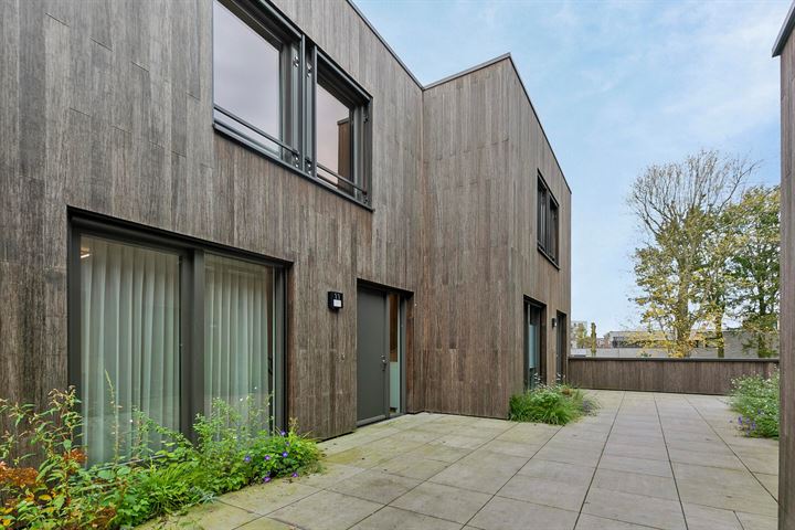 Bosviool 11 in Eindhoven foto