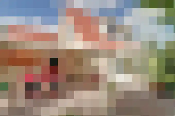 Bosweer 3 D Appelscha foto 2