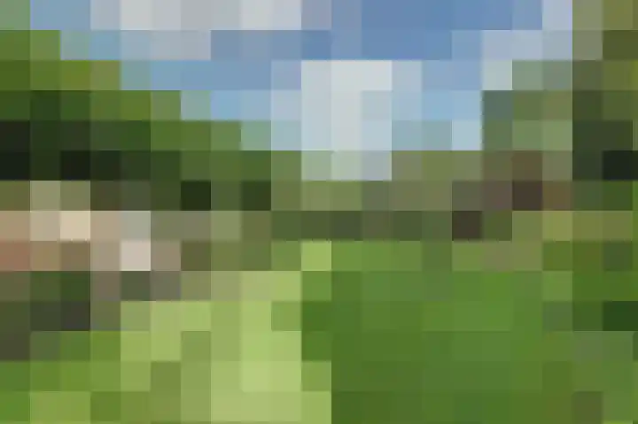 Bosweer 3 D Appelscha foto 3