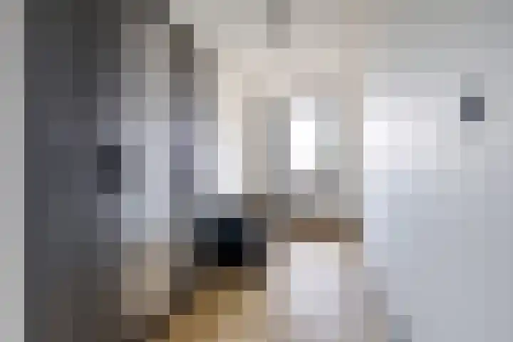 Bosweg 119 Gouda thumbnail 15