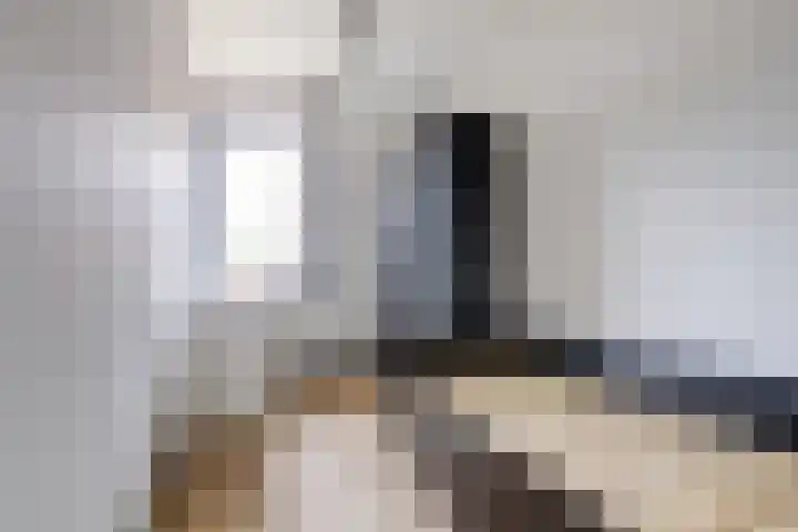 Bosweg 119 Gouda thumbnail 16