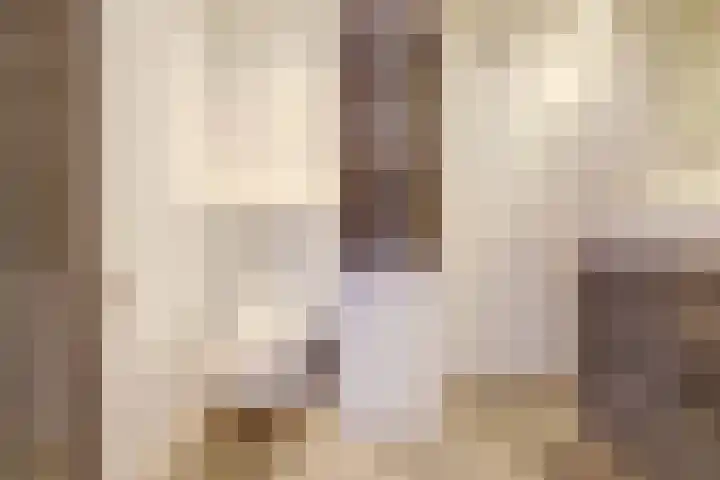 Bosweg 119 Gouda thumbnail 17