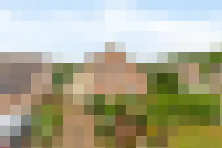 Bosweg 2 Darp thumbnail 14