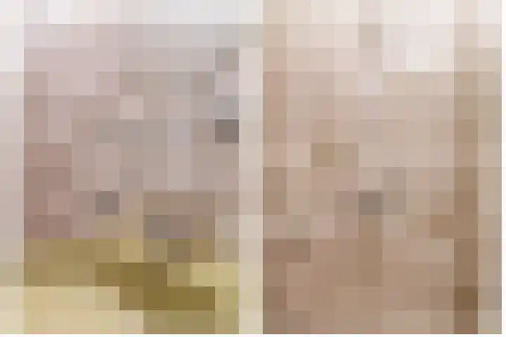 Bosweg 2 Darp thumbnail 19