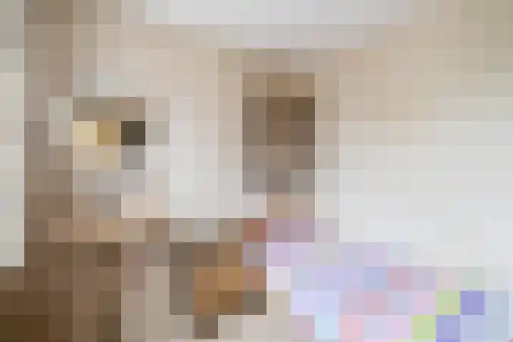 Bosweg 2 Darp thumbnail 21
