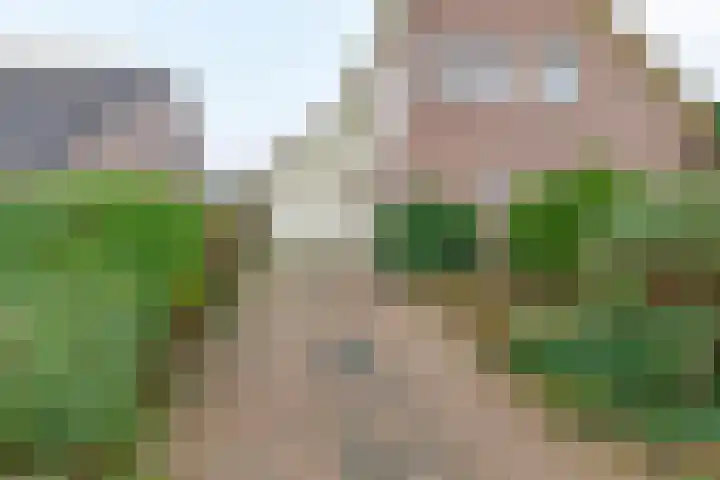 Bosweg 2 Darp thumbnail 24