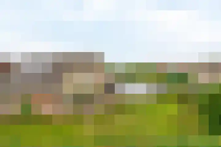 Bosweg 2 Darp thumbnail 26