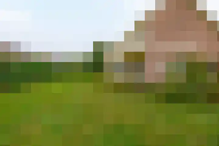Bosweg 2 Darp thumbnail 27