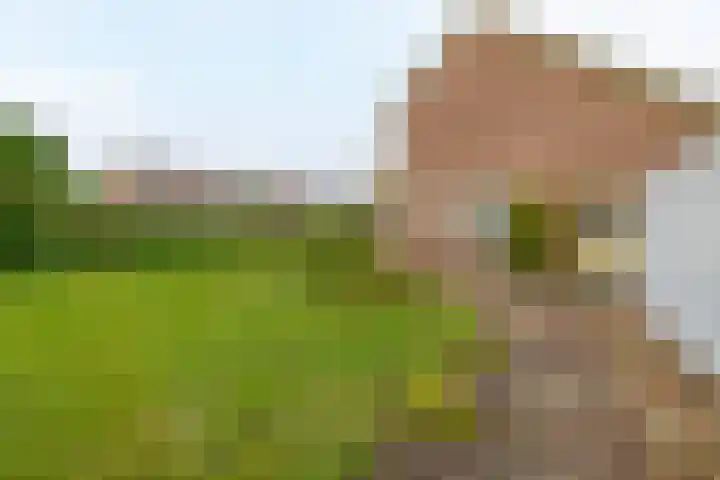 Bosweg 2 Darp thumbnail 28